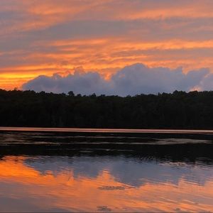 Meet your Posher, Lucy